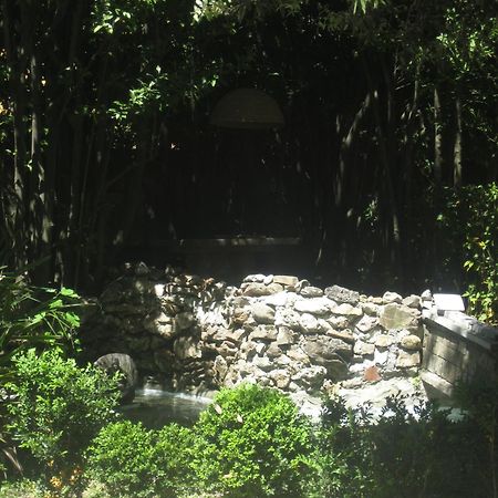 Villa Patrizia B&B Lucca Eksteriør billede