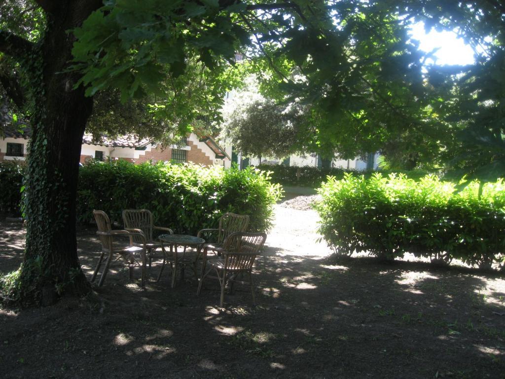Villa Patrizia B&B Lucca Eksteriør billede