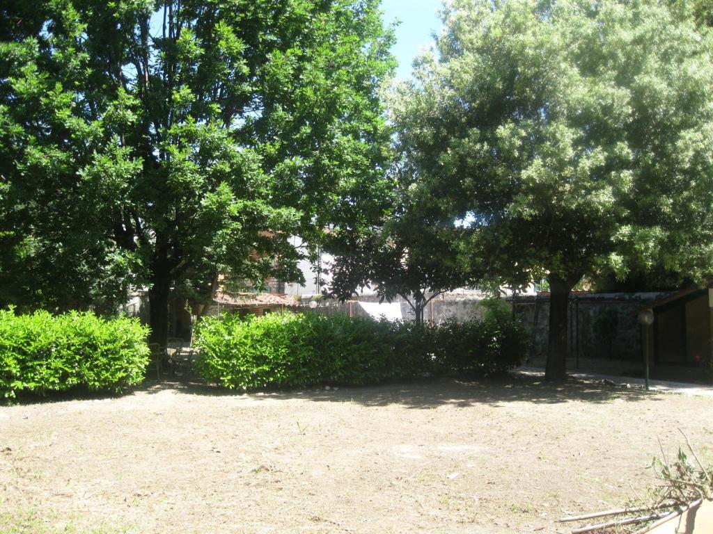 Villa Patrizia B&B Lucca Eksteriør billede